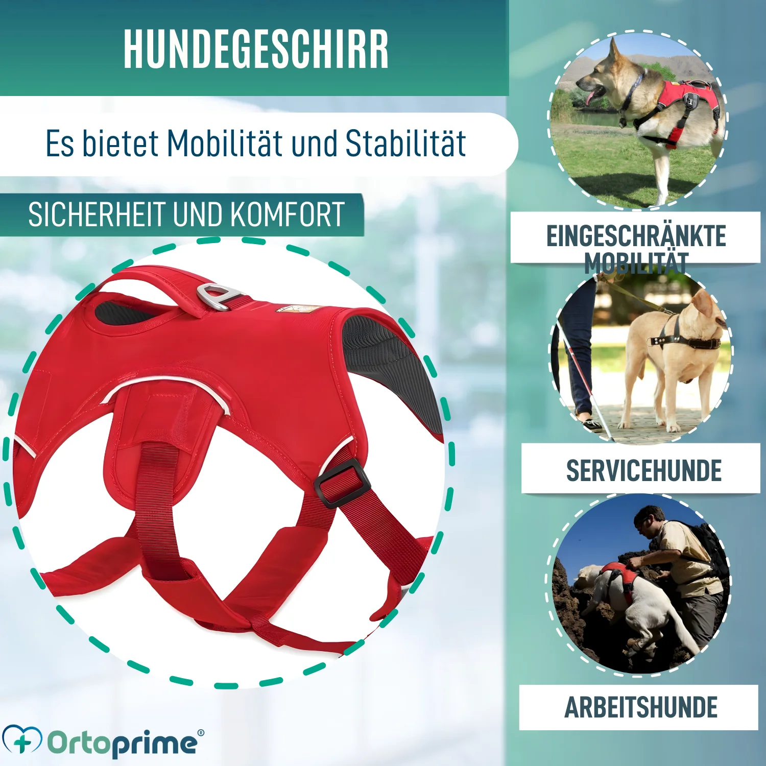 Stützharnisch für Assistenzhunde | 5 Größen - Image 3