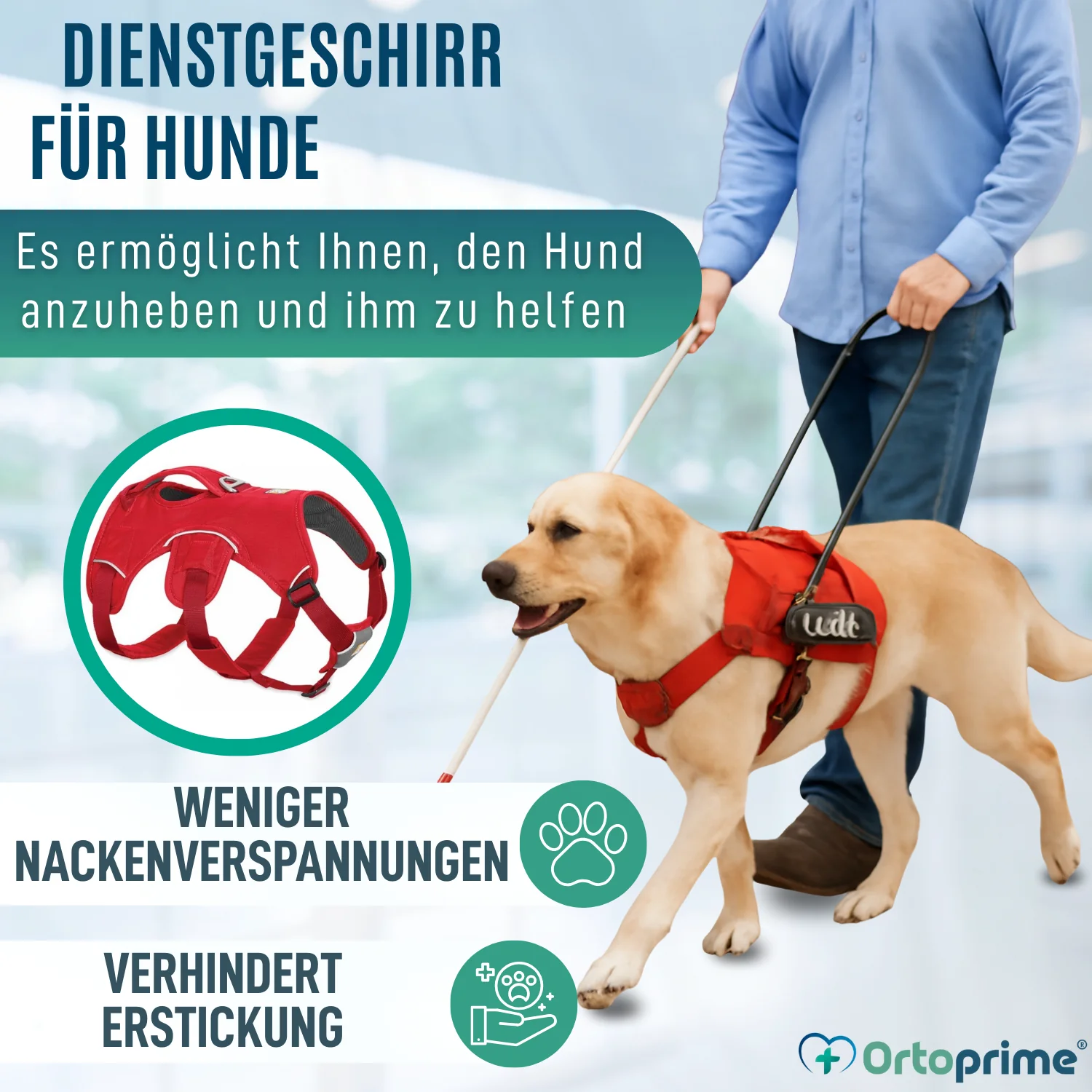Stützharnisch für Assistenzhunde | 5 Größen - Image 4