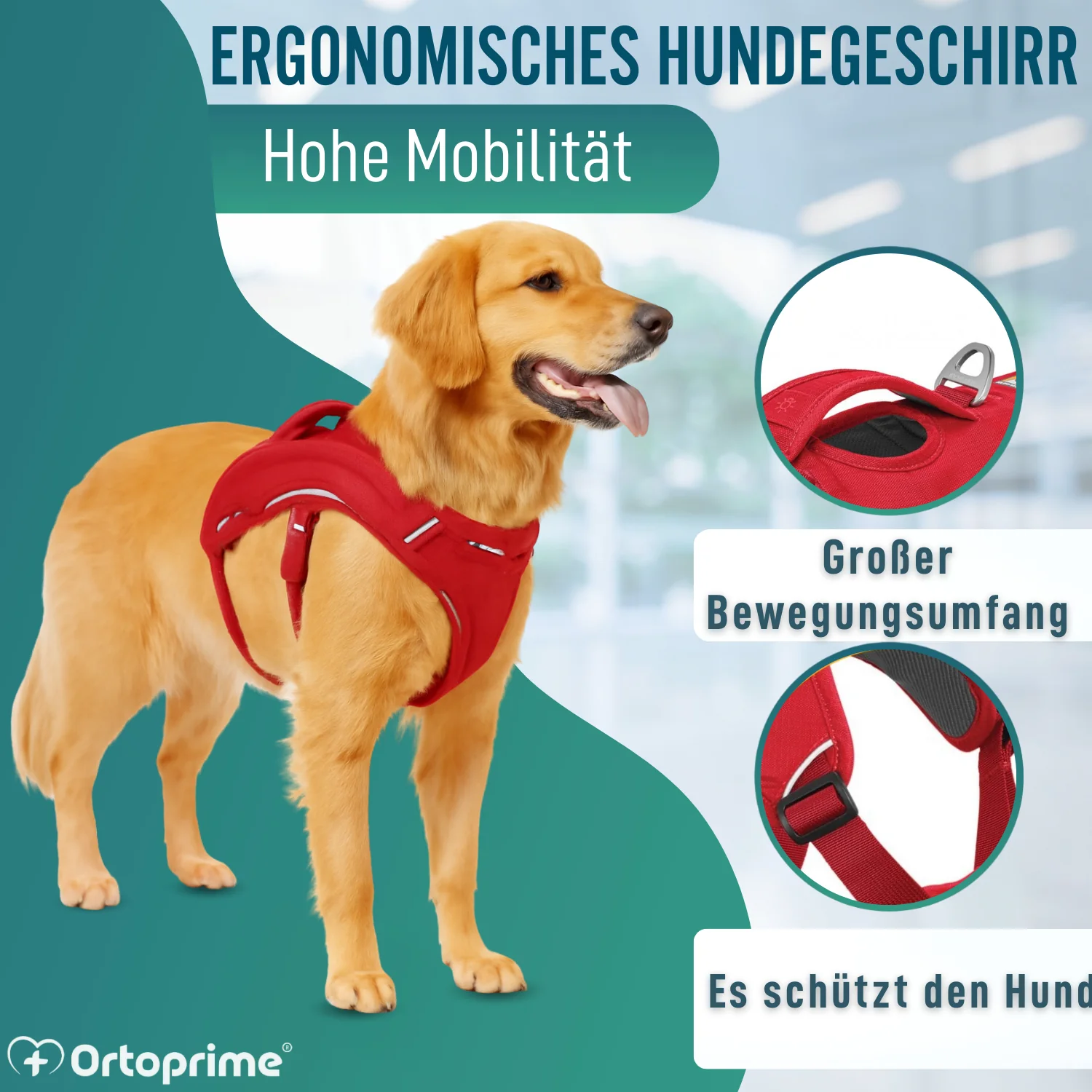 Stützharnisch für Assistenzhunde | 5 Größen - Image 6