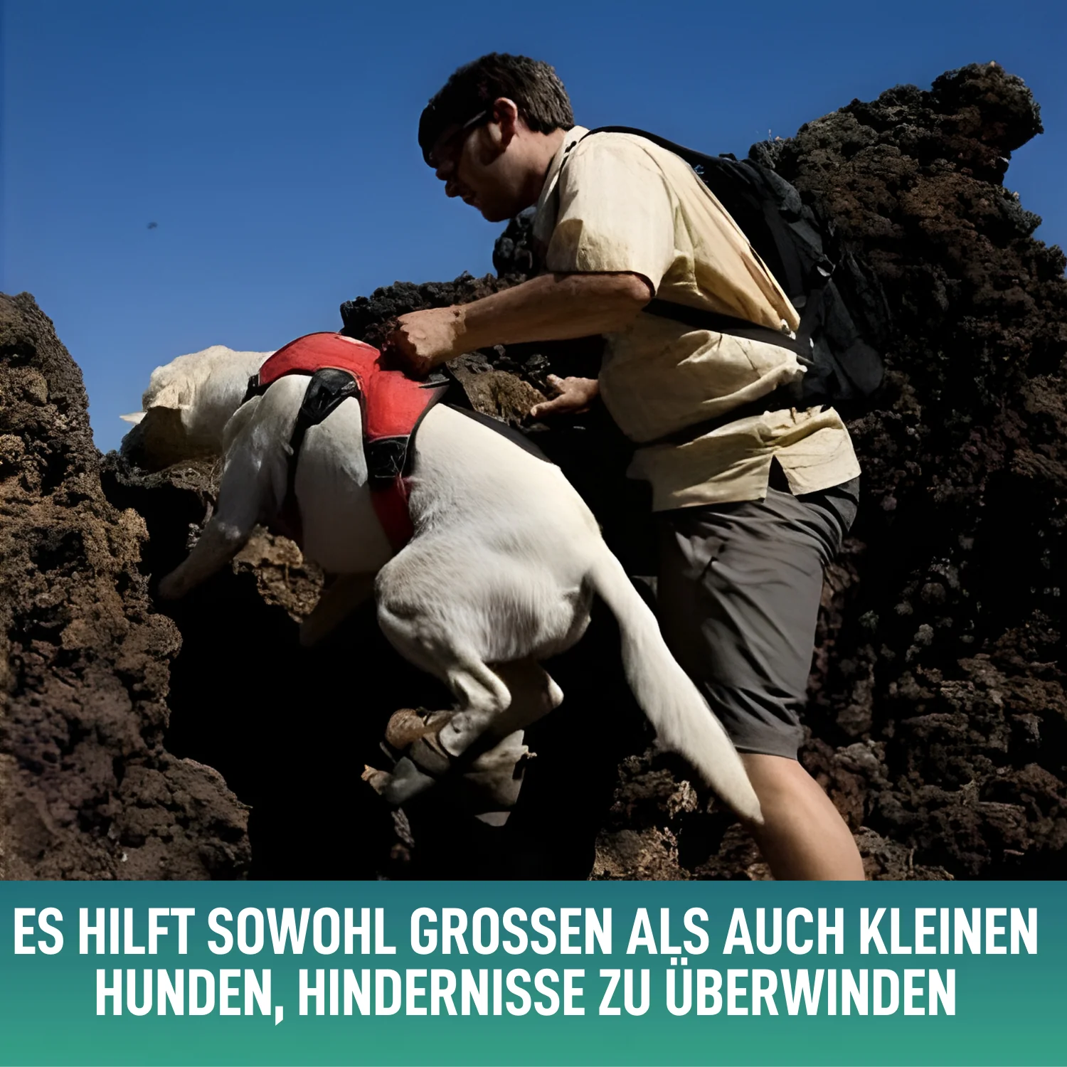 Stützharnisch für Assistenzhunde | 5 Größen - Image 7