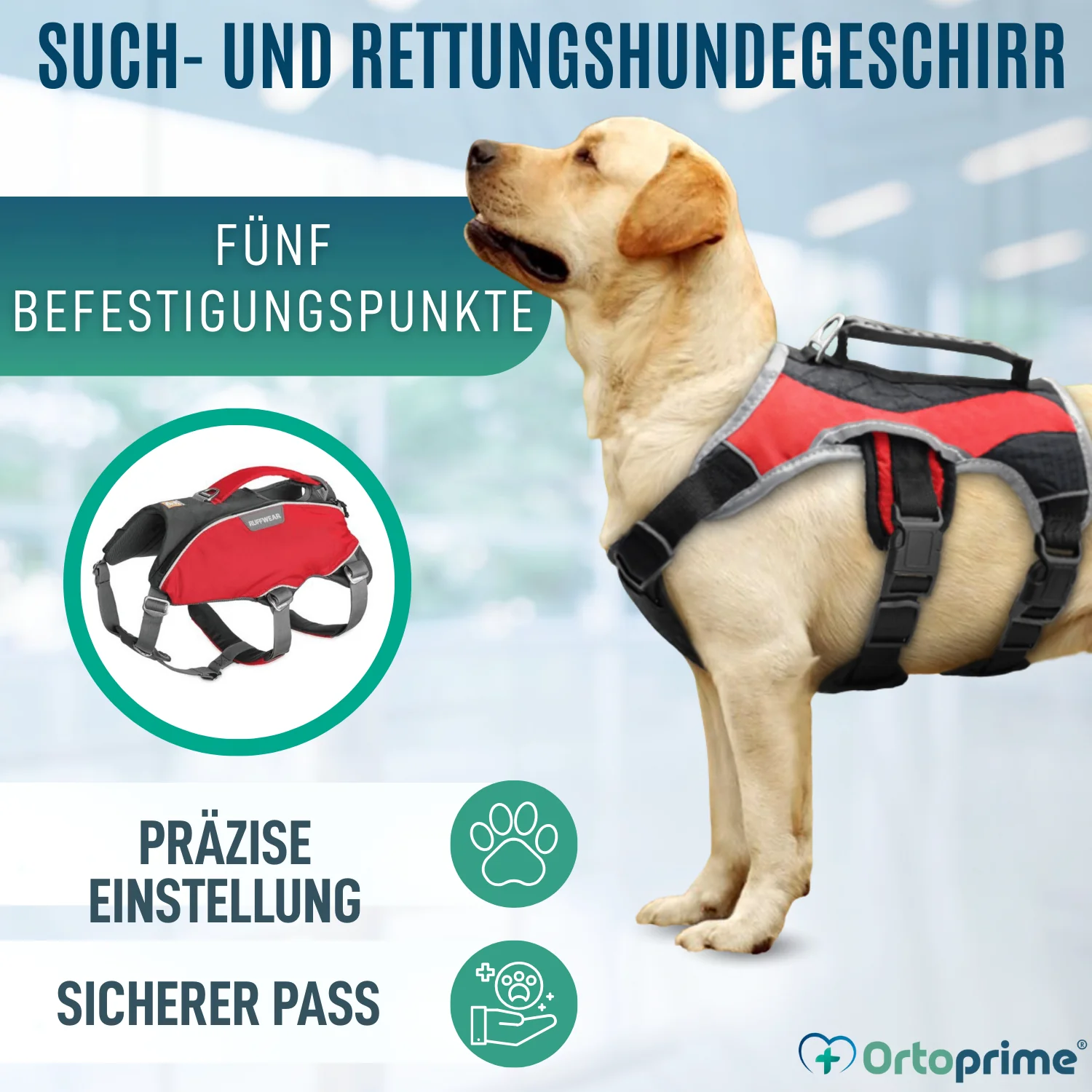 Such- und Rettungshundegeschirr | Hohe Beständigkeit - Image 4