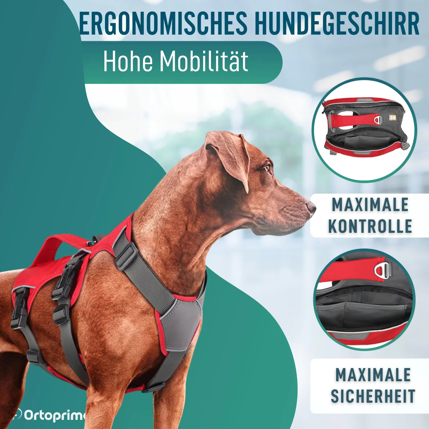 Such- und Rettungshundegeschirr | Hohe Beständigkeit - Image 7