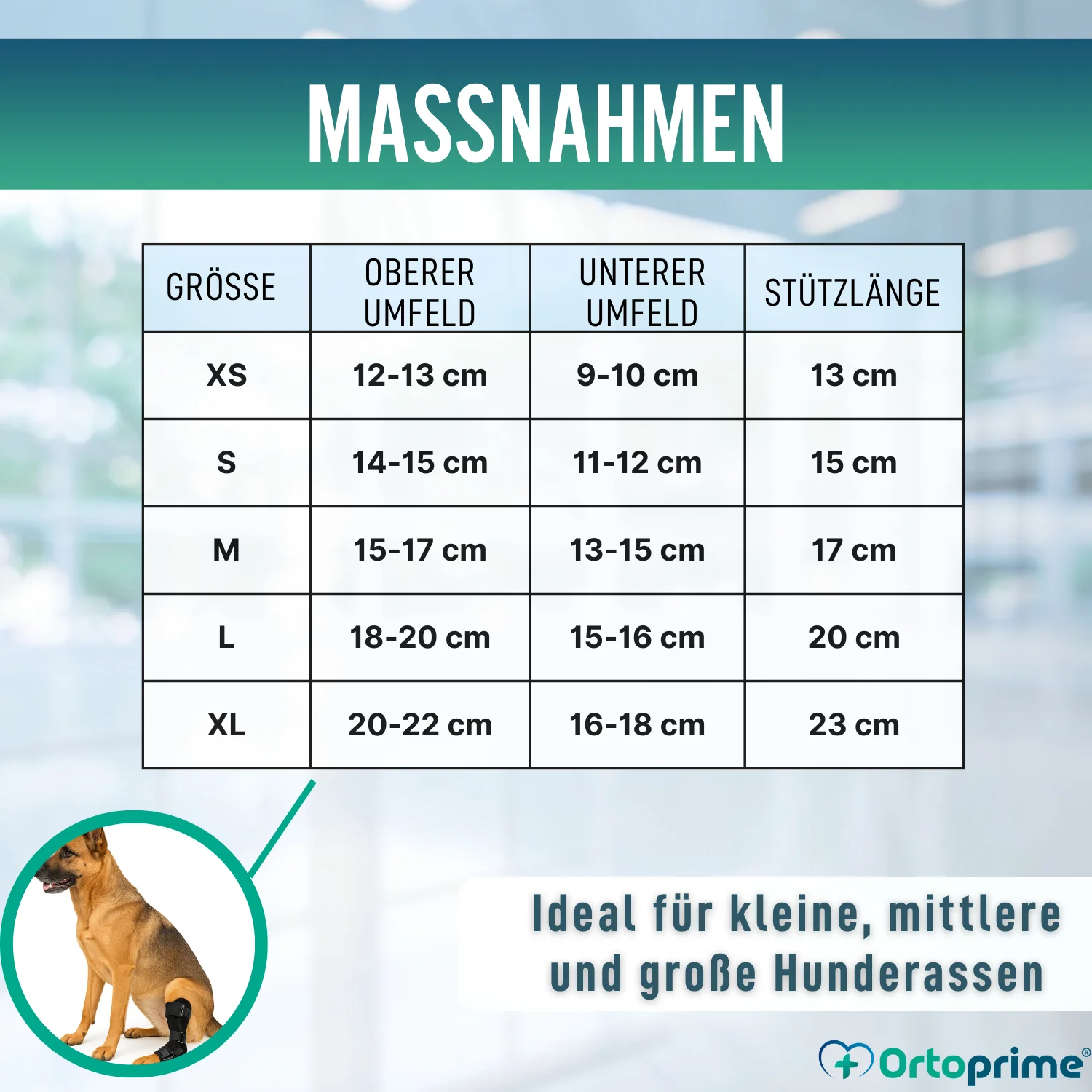 Tarsalstütze für Hunde mit Abnehmbaren Schienen | 2 Stk - Image 2