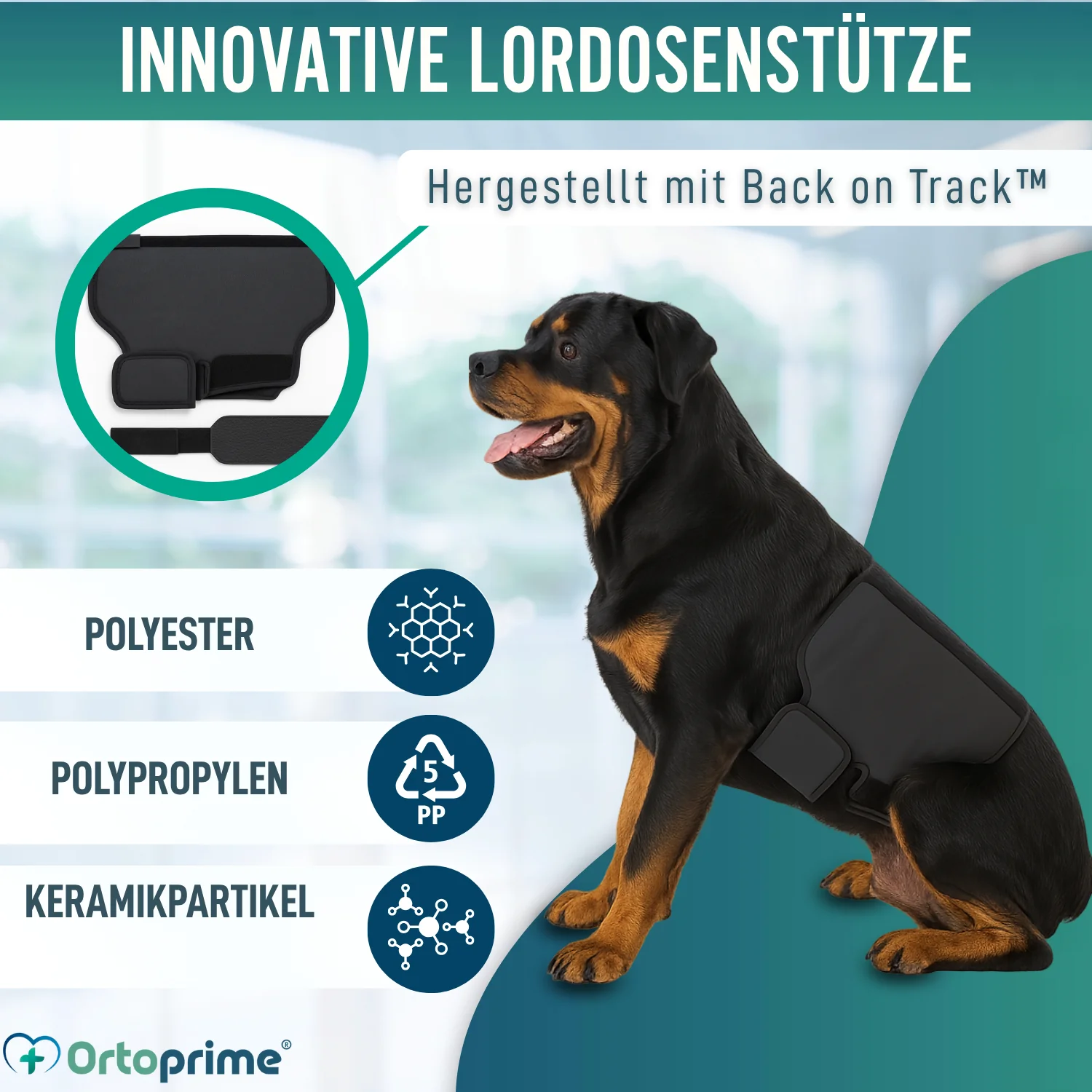 Thermischer Hundesupport Back on Track | Rückenbandage - Image 5