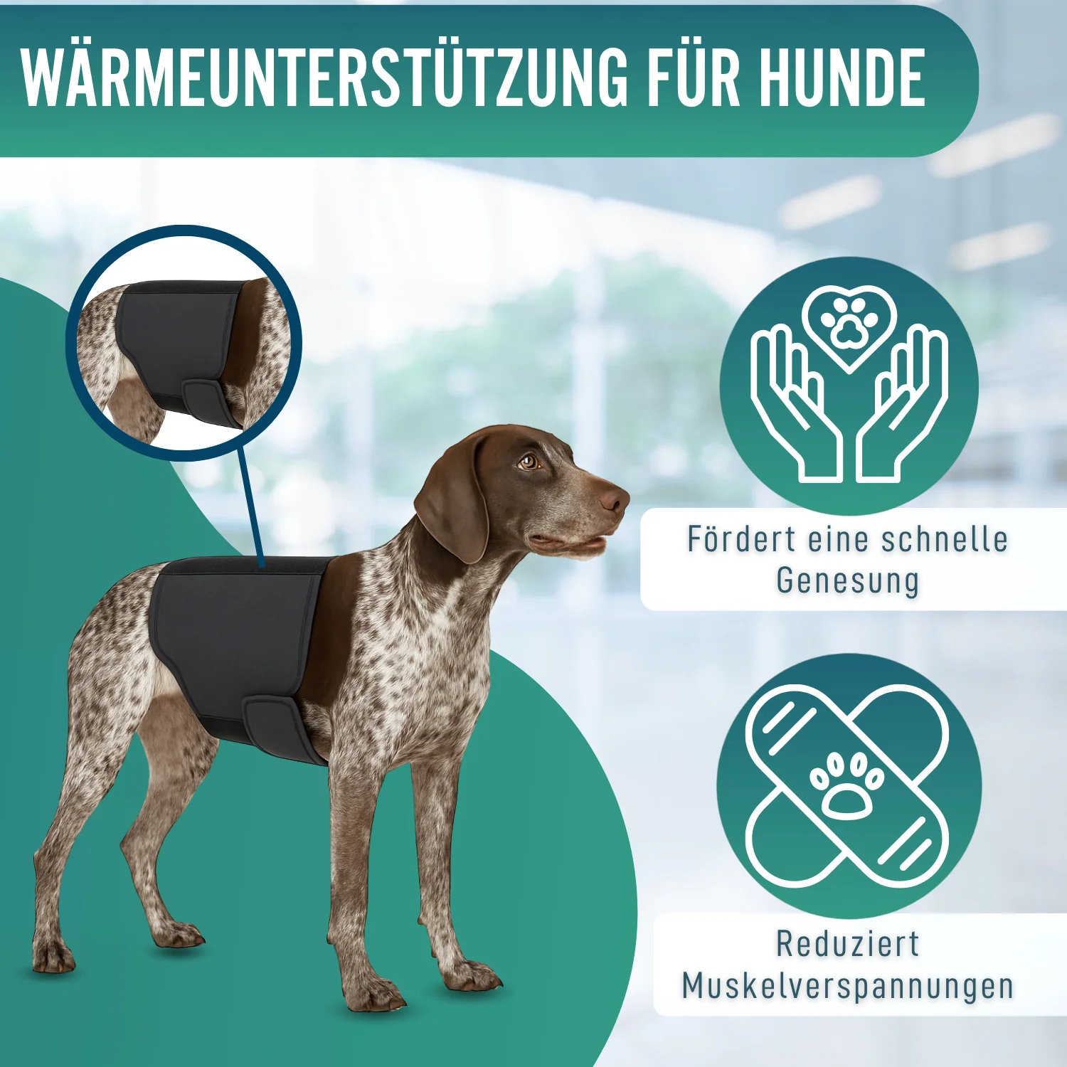 Thermischer Hundesupport Back on Track | Rückenbandage - Image 7