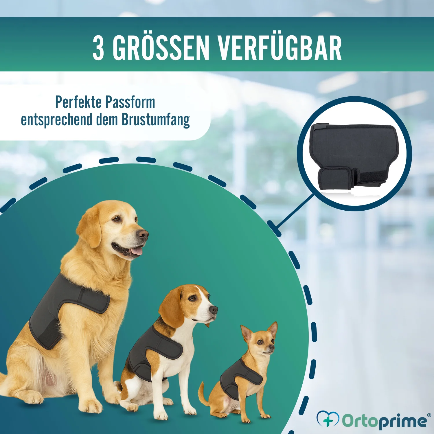 Thermischer Hundesupport Back on Track | Rückenbandage - Image 8