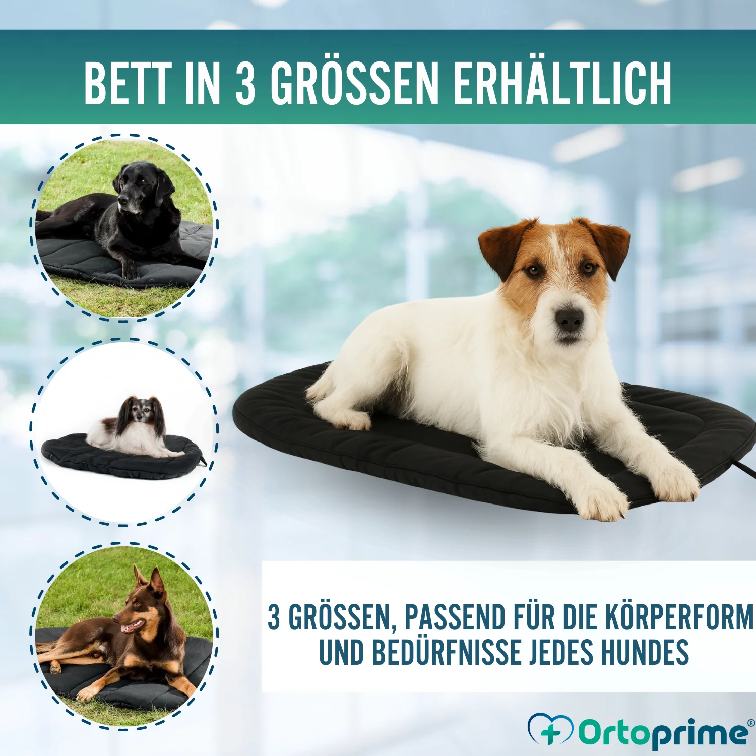 Thermobett für Hunde mit Arthrose | Therapeutisches Gewebe - Image 3