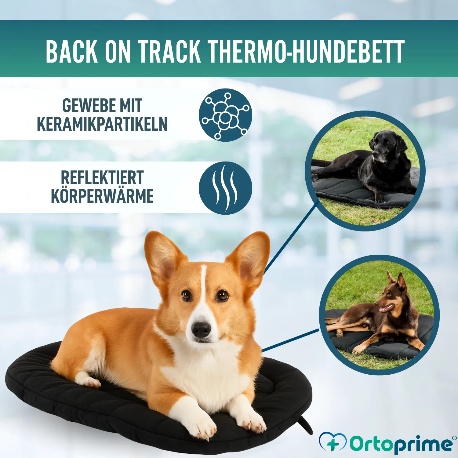 Thermobett für Hunde mit Arthrose | Therapeutisches Gewebe - Image 4