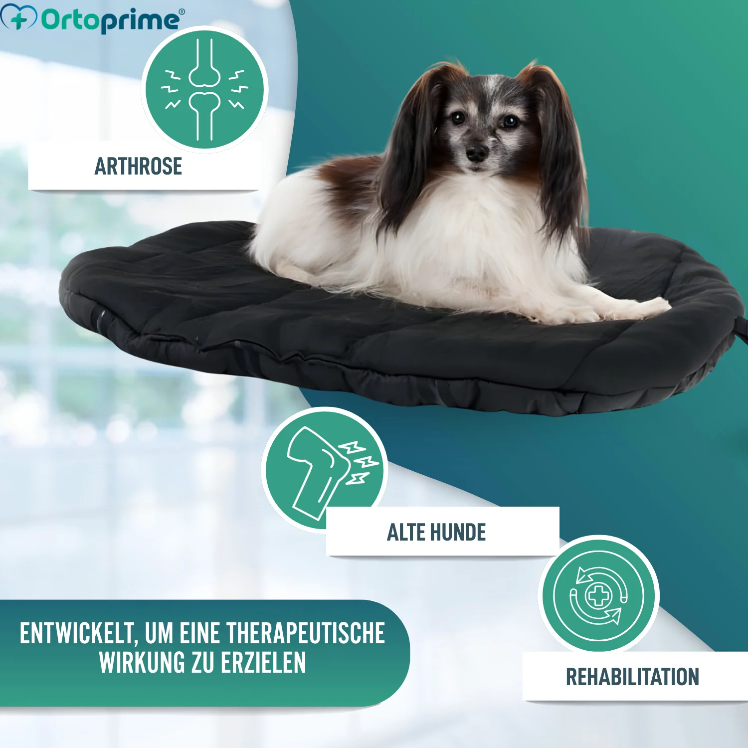 Thermobett für Hunde mit Arthrose | Therapeutisches Gewebe - Image 7