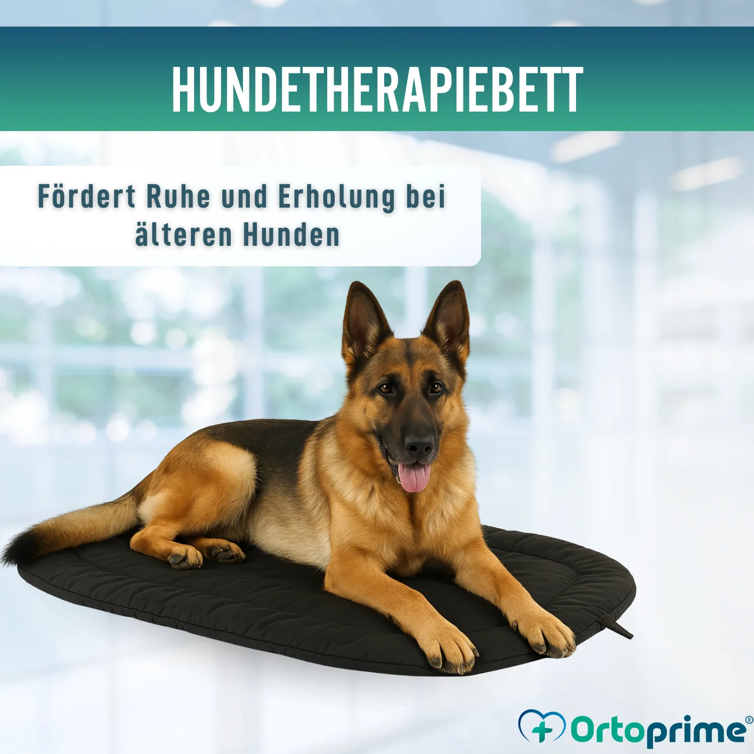 Thermobett für Hunde mit Arthrose | Therapeutisches Gewebe - Image 8