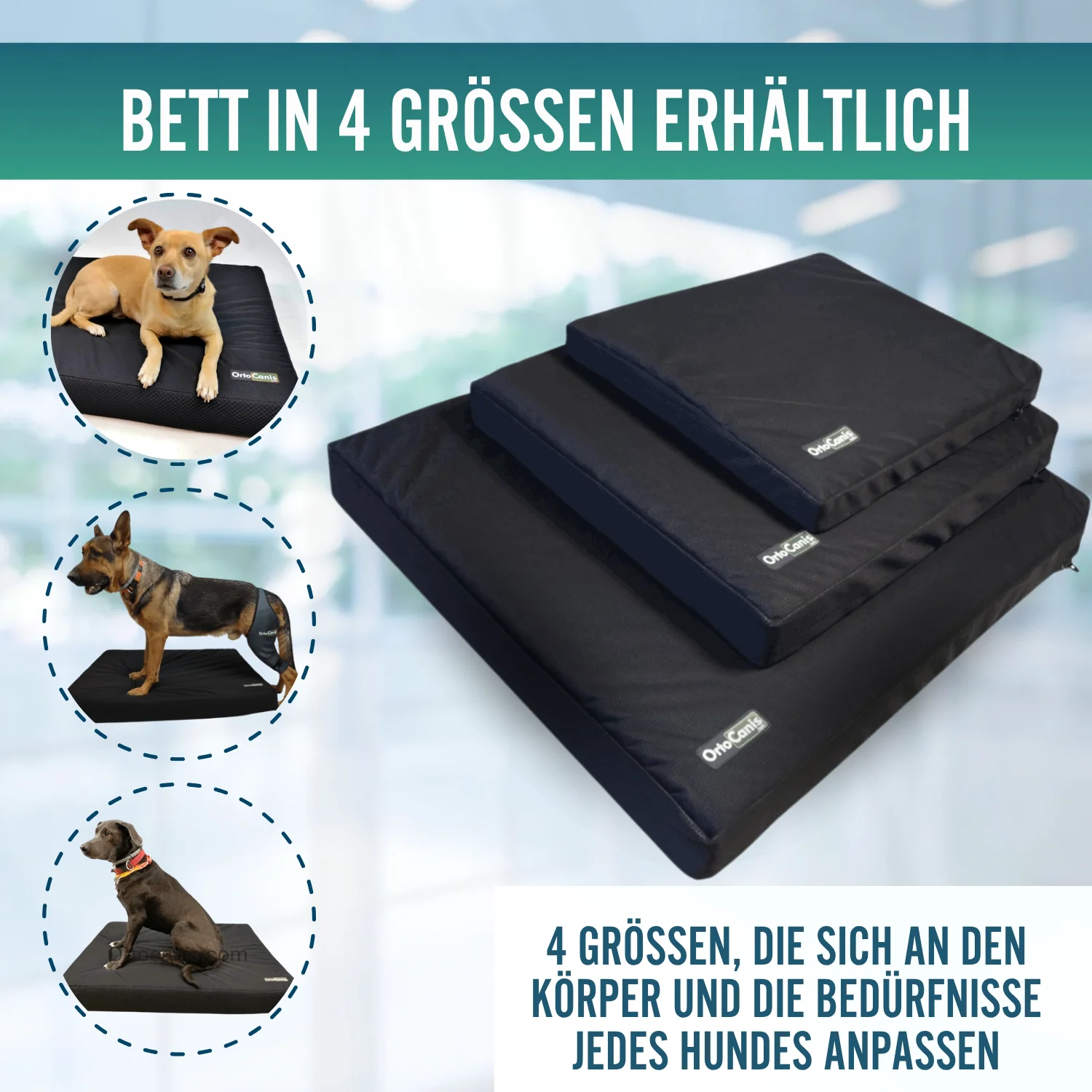 Viscoelastische Hundematratze, wasserfester Bezug | 4 Größen - Image 3