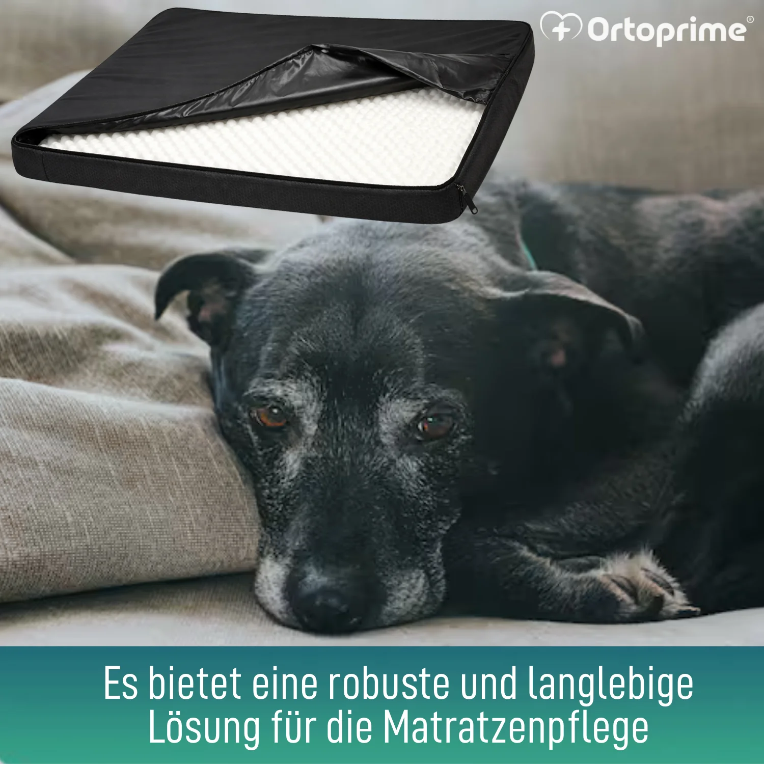 Wasserdichter Bezug für Orthopädische Hundematratze | 4 Größen - Image 4