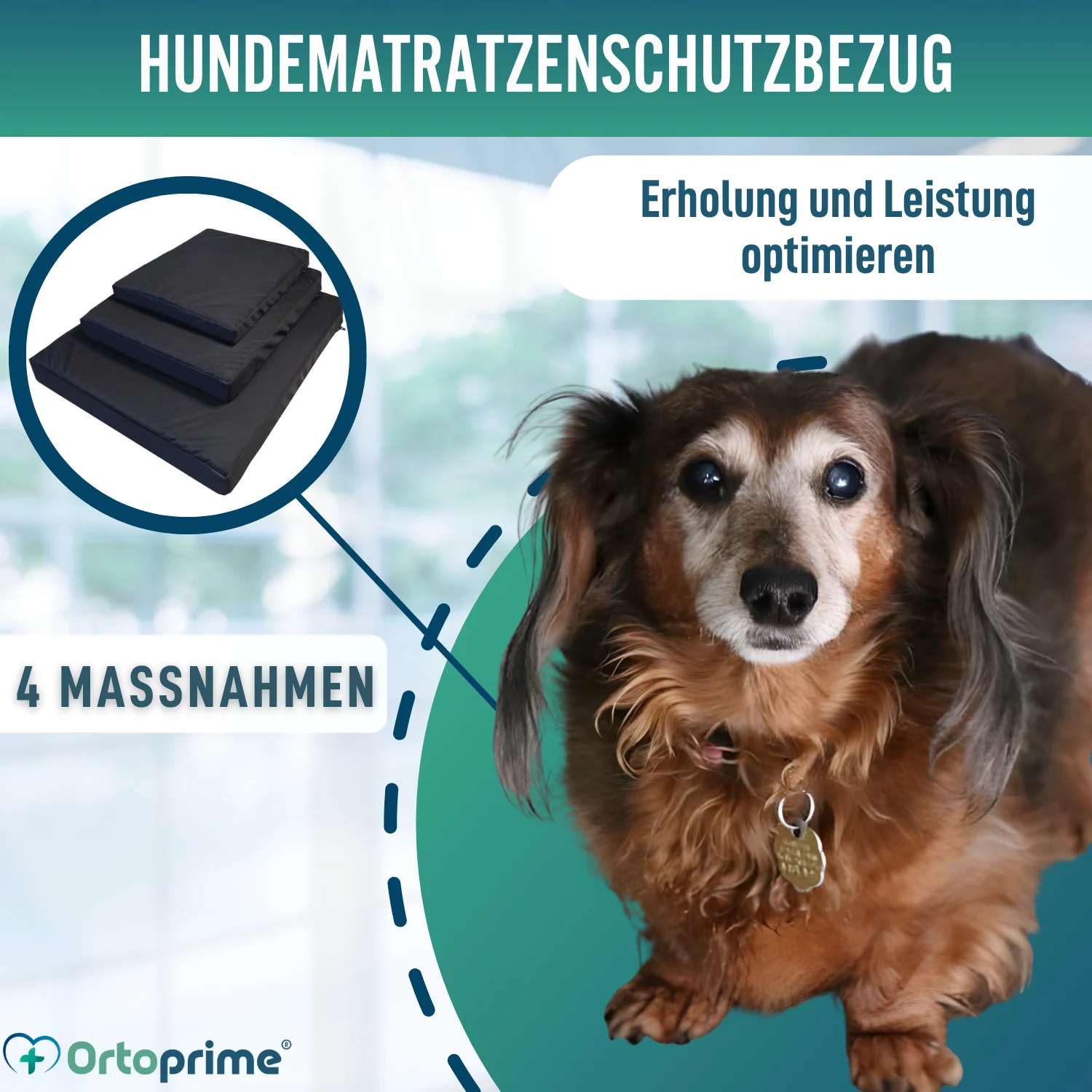 Wasserdichter Bezug für Orthopädische Hundematratze | 4 Größen - Image 7