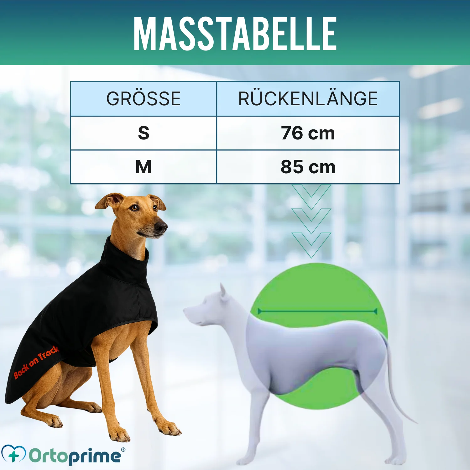 Wasserdichter Thermo-Mantel für Greyhound | 2 Größen - Image 2