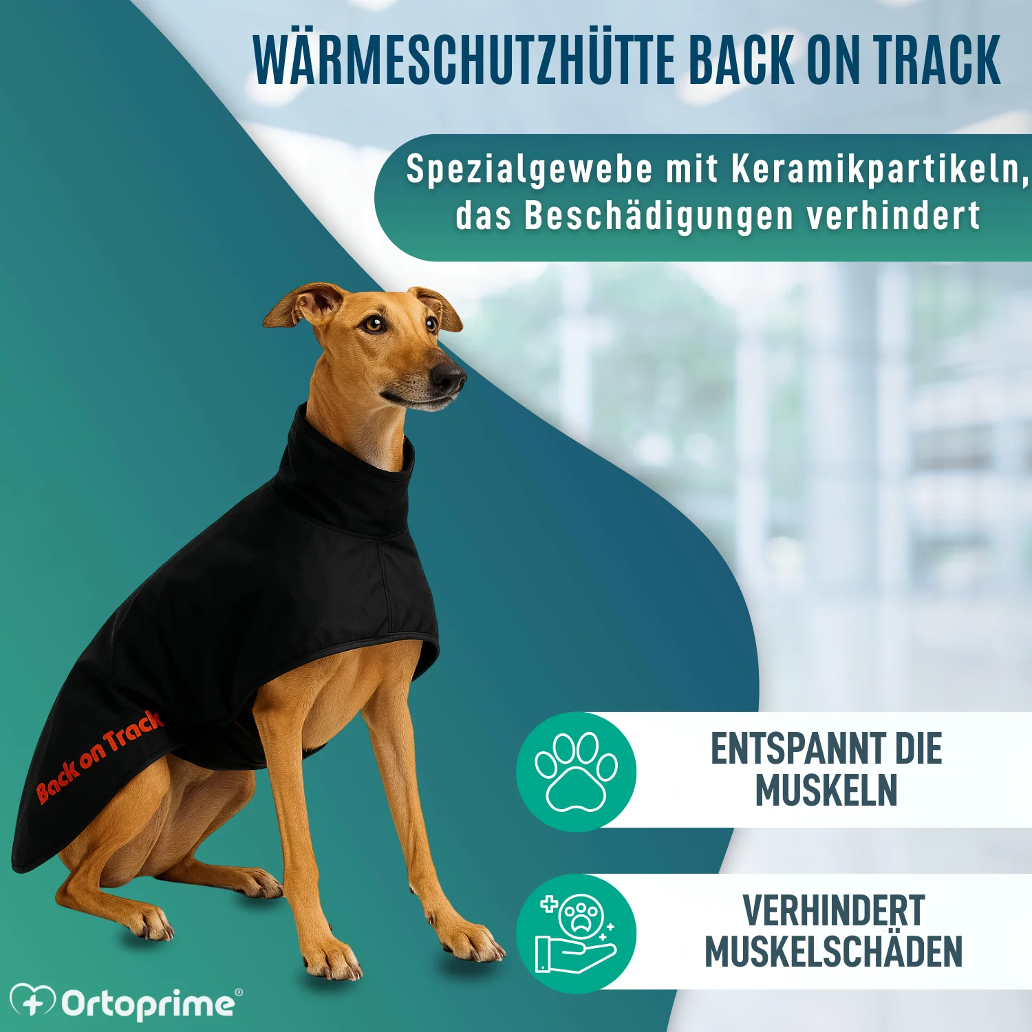 Wasserdichter Thermo-Mantel für Greyhound | 2 Größen - Image 4