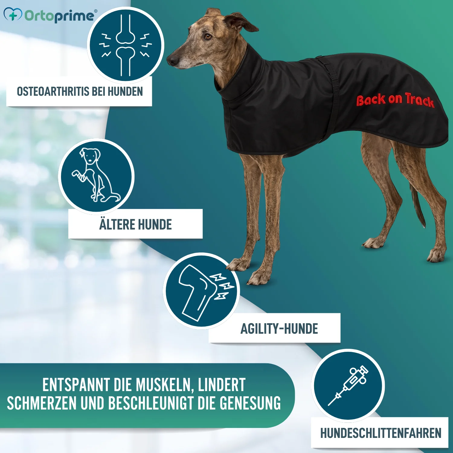 Wasserdichter Thermo-Mantel für Greyhound | 2 Größen - Image 5