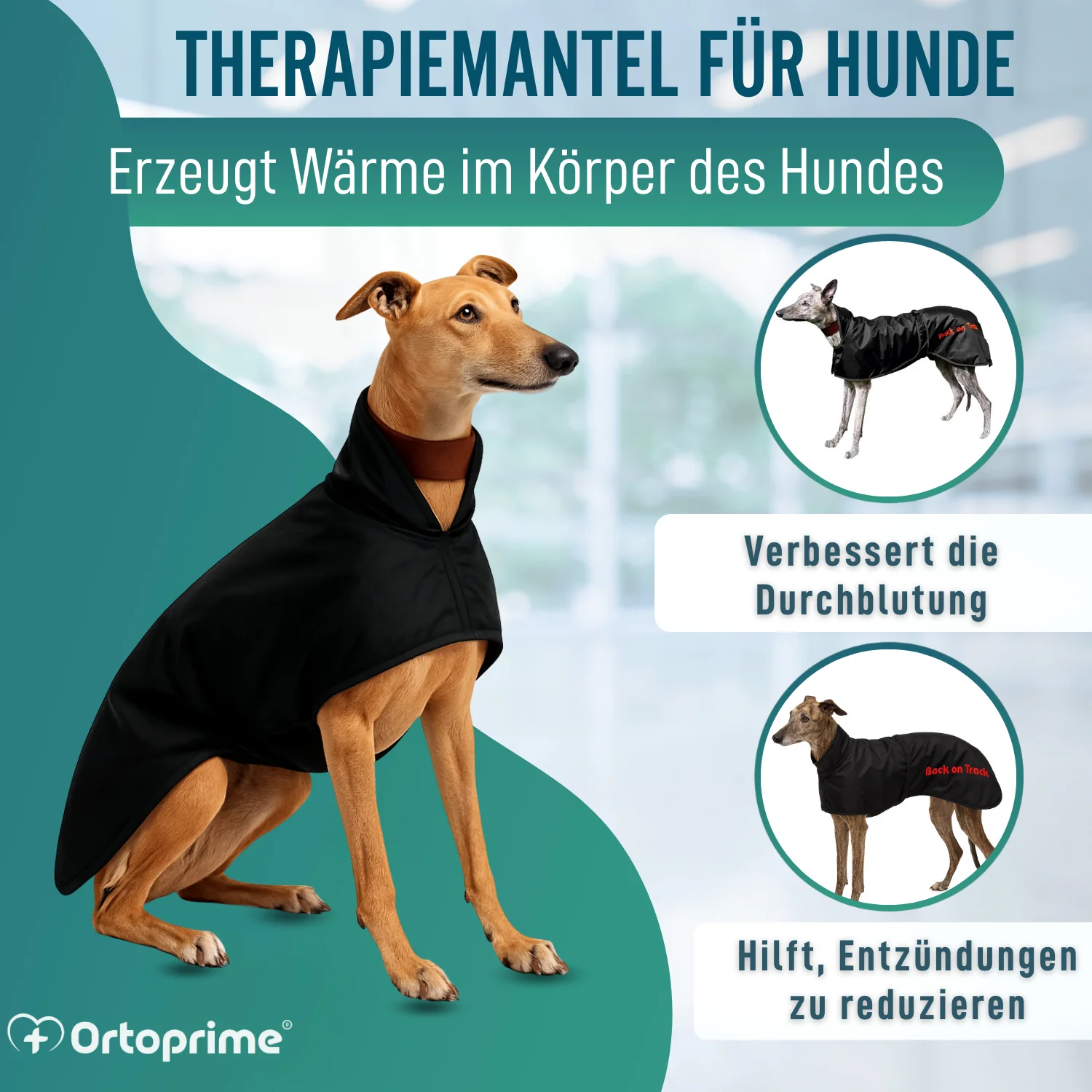 Wasserdichter Thermo-Mantel für Greyhound | 2 Größen - Image 6