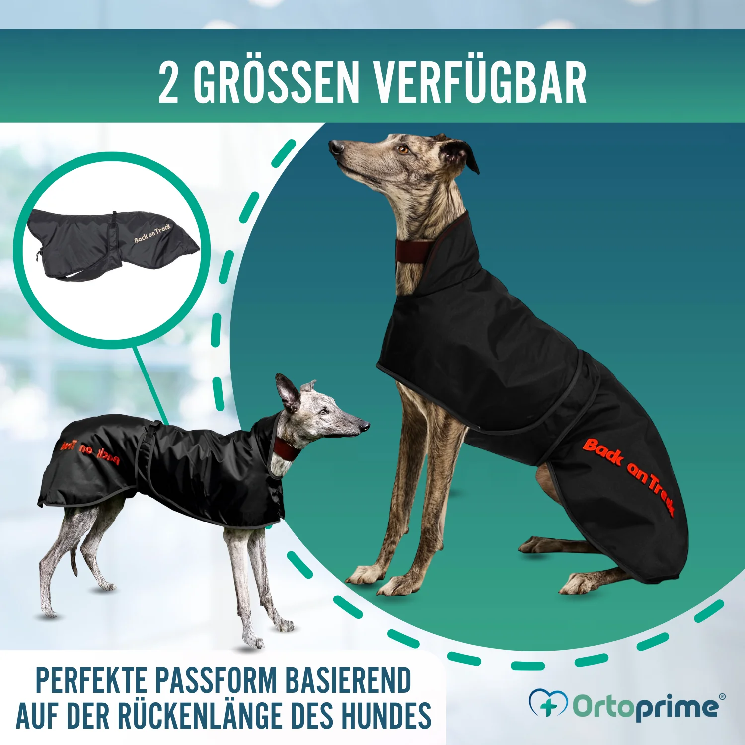 Wasserdichter Thermo-Mantel für Greyhound | 2 Größen - Image 8